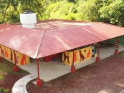 10 cosas que puedes donar al refugio de animales Cuetzalan