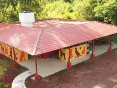 10 cosas que puedes donar al refugio de animales Cuetzalan