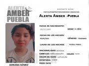 Se activa Alerta Amber para localizar a menor de 11 años de edad