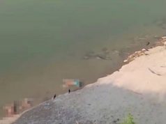 Imágenes desgarradoras en la India: Decenas de cadáveres flotan en el río Ganges
