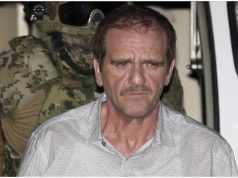 Juez absuelve a ‘El Güero’ Palma y ordena liberarlo; consultan si no tiene otras causas