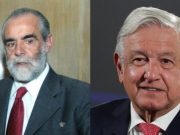 Diego Fernández sigue su ofensiva contra AMLO: «no es lo mismo un animal político que un político animal»