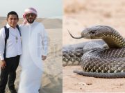 Poblano crea antídoto para veneno de serpiente con plantas de Cuetzalan