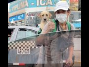 Video: Joven trabaja limpiando autos mientras carga a su perrito en la espalda