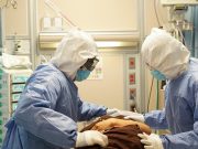 Médicos huyen por violencia: solicitan salir de Tierra Caliente ante la inseguridad