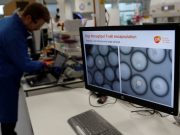 Descubren en México molécula que podría combatir el cáncer