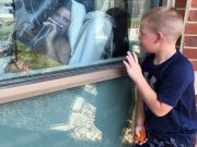 Un defecto del sistema inmune es responsable del 20% de las muertes por covid