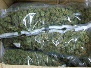 Con cuatro kilos de marihuana, SSP detiene a hombre en Xonacatepec