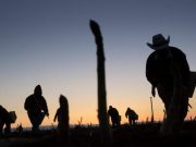 Migrantes en EUA no podrán ser deportados sólo por falta de documentación