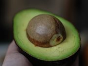 Inspección de aguacates mexicanos en EE.UU. permanecerá suspendida “el tiempo que sea necesario”