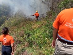 Combaten incendio en comunidad de Tlatlauquitepec