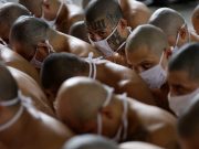 Advierten por posible llegada a México de pandilleros de la Mara Salvatrucha