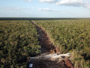 Rechaza AMLO acercamiento con críticos del Tren Maya; “que hablen con los campesinos”
