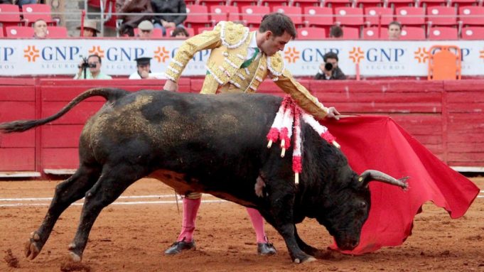 corrida-toros-plaza-de-toros-1024x576.jpg