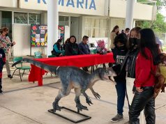 Promueve Tlatlauquitepec Ciencia y Tecnología en estudiantes