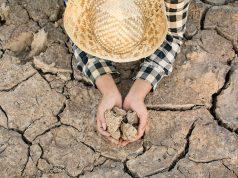 Campo de Puebla sufre hasta 30 días sin lluvia