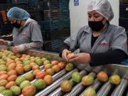 Durante primer trimestre, economía de Puebla suma 555 mdp al PIB