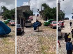«Y se marchó…»: Caballo se da a la fuga con quinceañera en plena fiesta