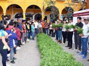 Se sembrarán 100 mil árboles en Tlatlauquitepec