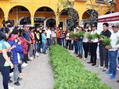 Se sembrarán 100 mil árboles en Tlatlauquitepec
