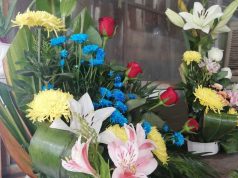 En SLP, médico da por muerta a niña; despierta en su funeral, pero muere rumbo a hospital