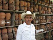 Unión Europea sinergia visitará Cuetzalan para proteger la miel melipona