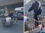 ¡Qué trabajador! Captaron a perrito vendiendo tamales sobre un scooter junto a su dueño