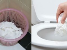 ¿El papel higiénico se debe tirar al bote de basura o en el inodoro?