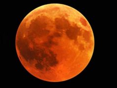 Luna de sangre noviembre 2022. ¿A qué hora se verá el eclipse lunar?