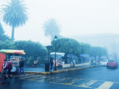 Por temporada invernal, posible aumento en contagios COVID-19: Salud