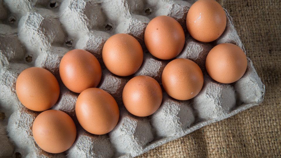 ¿Por qué el huevo subió tanto de precio en México?