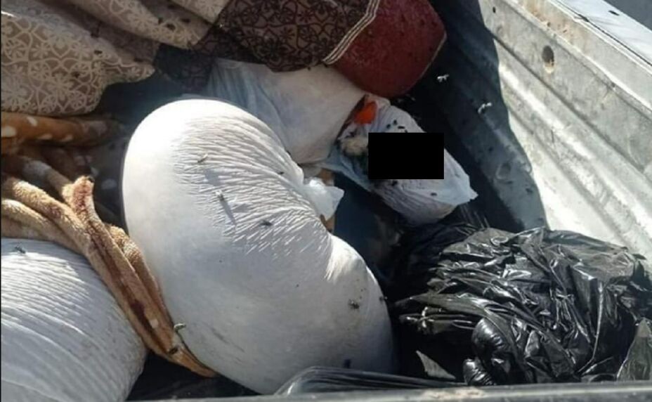 Arrestan a hombre que tenía 118 cadáveres de perros en su camioneta