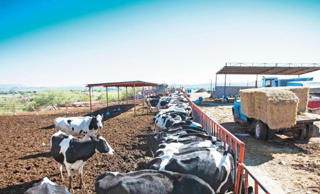 AMLO envía iniciativa para extinguir Financiera Nacional de Desarrollo