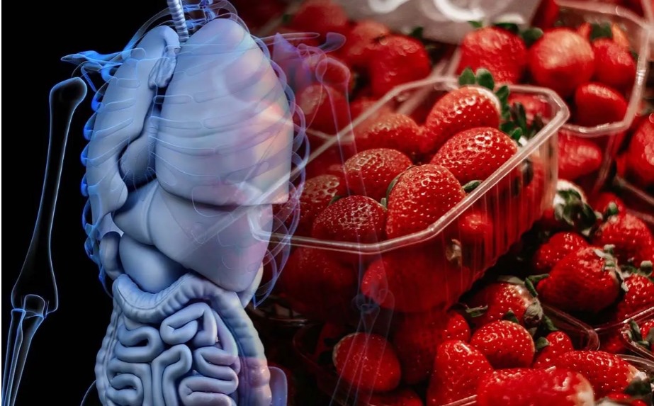EU retira del mercado fresas mexicanas por brote de hepatitis A