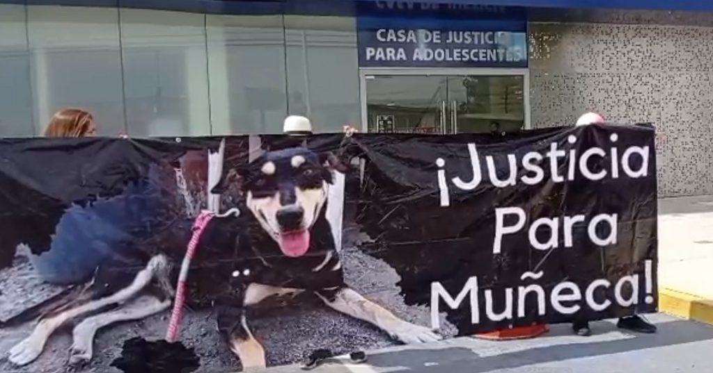 Vinculan a menor de edad por zoofilia en Atlixco