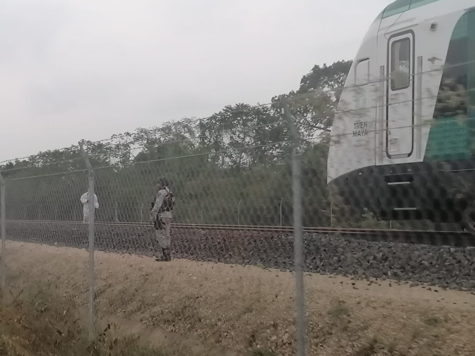 Tren Maya arrolla a dos migrantes y uno muere