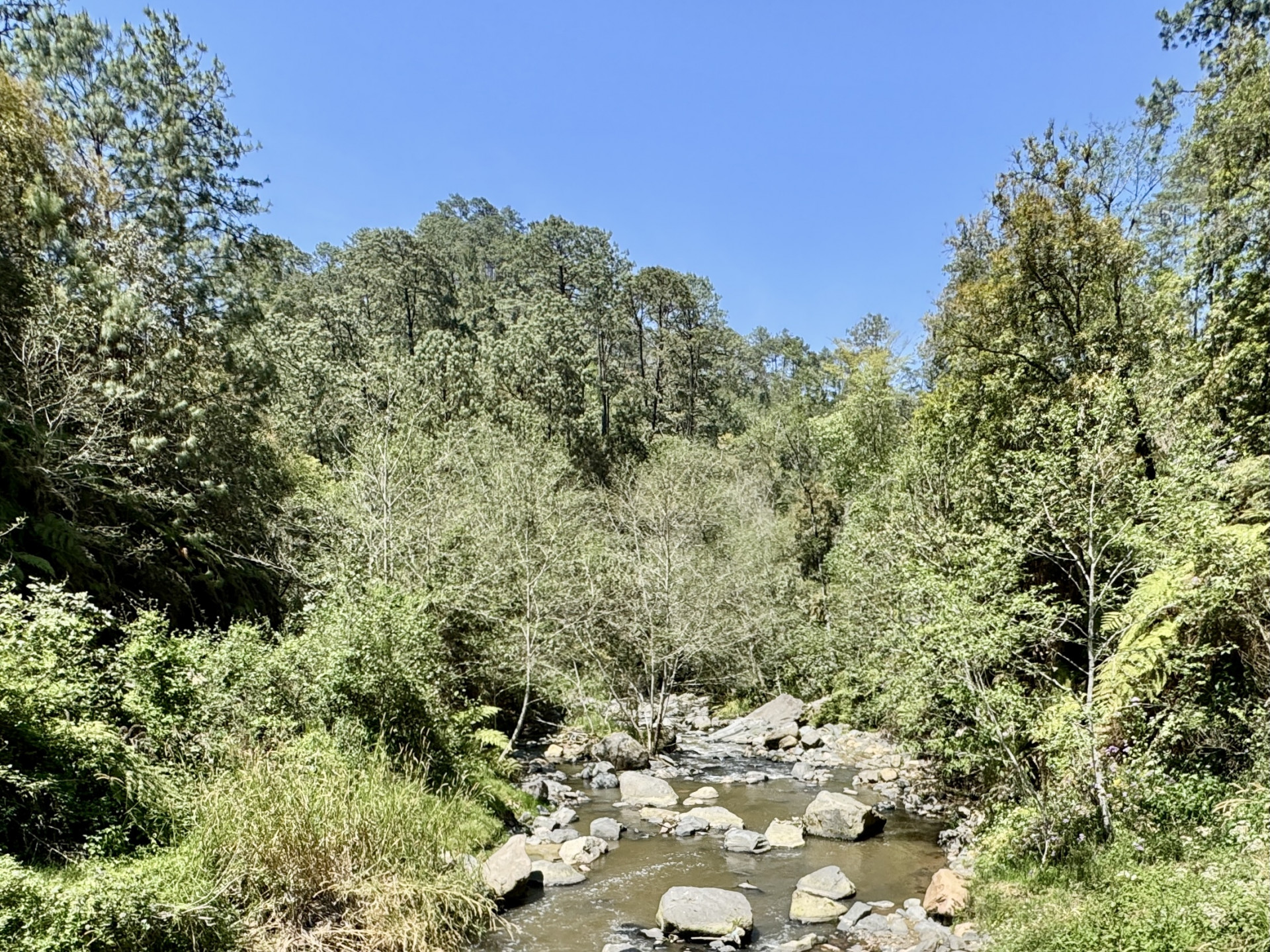 Crisis de agua en la Sierra Nororiental: La temporada de estiaje se avecina