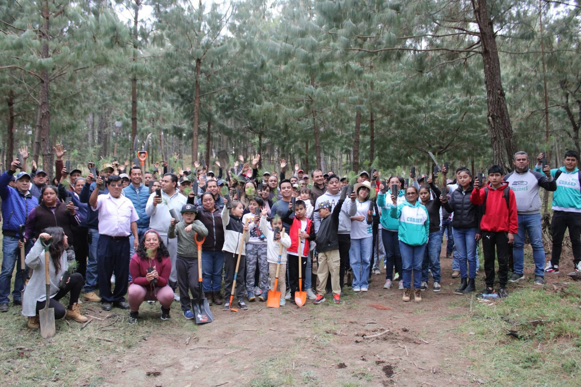 Más de 1,000 árboles plantados en Tlatlauquitepec con el programa “Unidos Reforestando”
