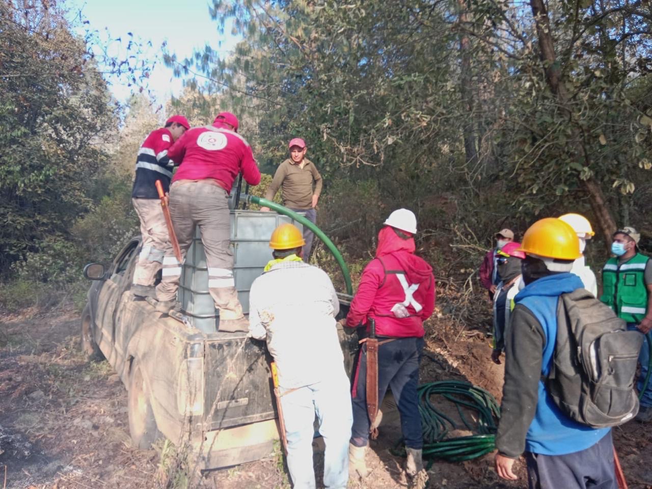 Tras rápida intervención, controlan incendio forestal en Tlatlauquitepec