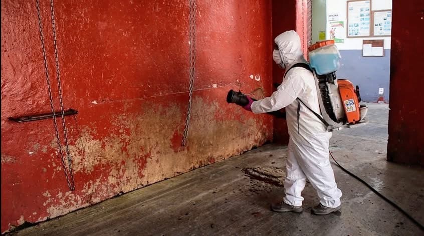 Autoridades minimizan segundo caso de carne en mal estado en el Rastro Municipal de Zacapoaxtla