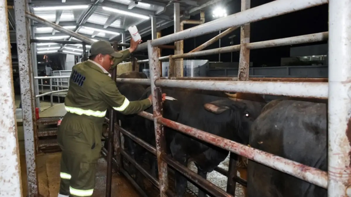 Declaran a Puebla “zona buffer” ante riesgo sanitario por gusano barrenador del ganado