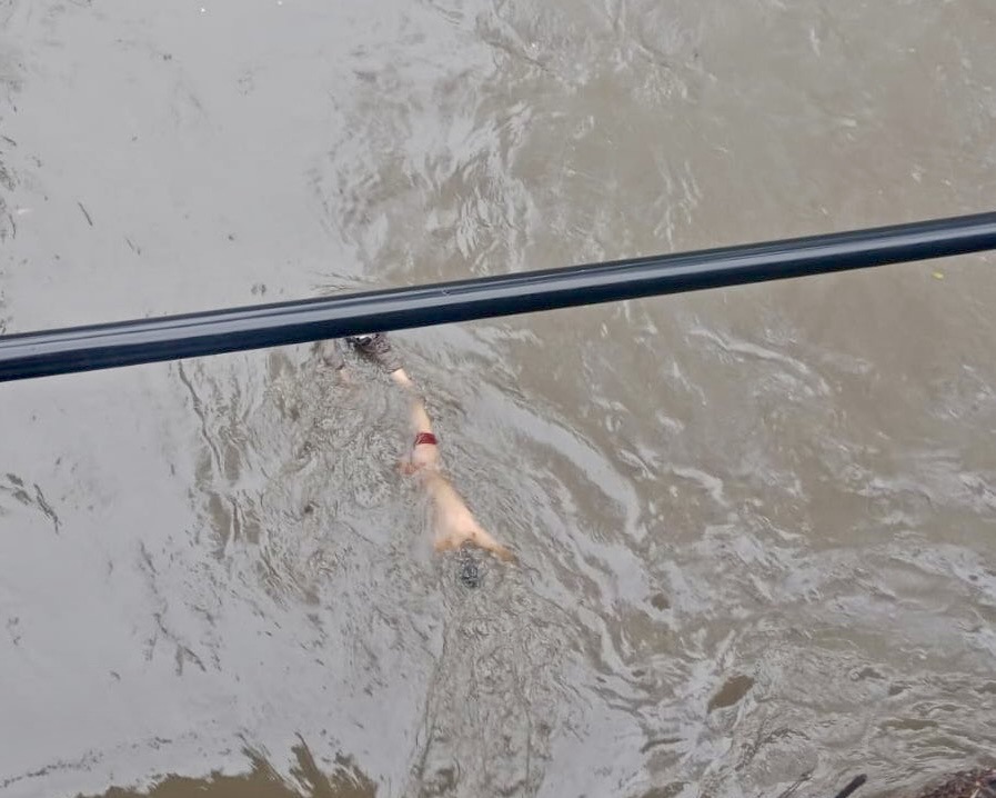 Escena de horror en Puebla: cadáver aparece flotando en el Alseseca