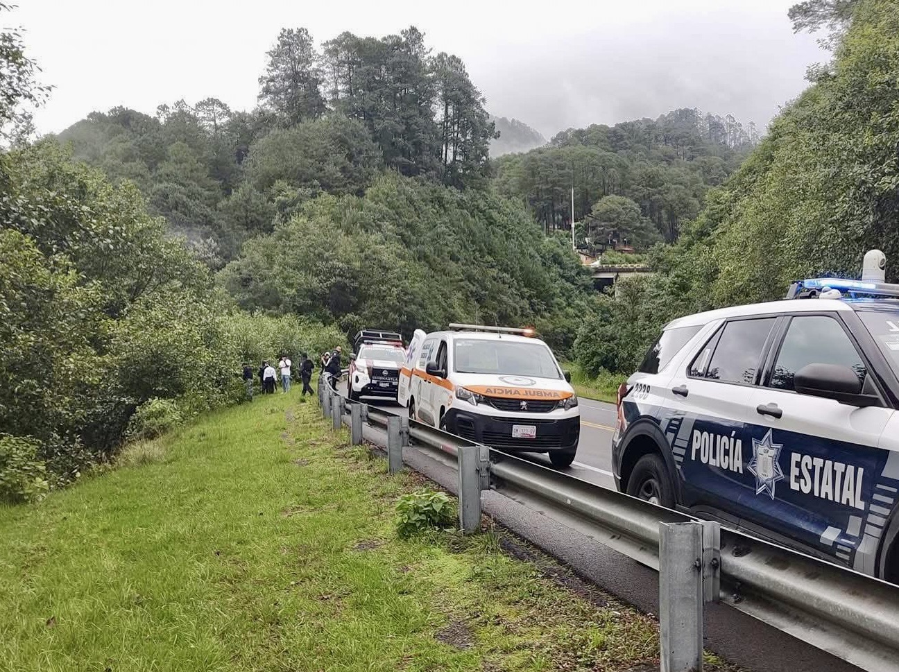 Lía, de apenas 1 año y 8 meses, pierde la vida en accidente sobre la autopista Virreyes–Teziutlán