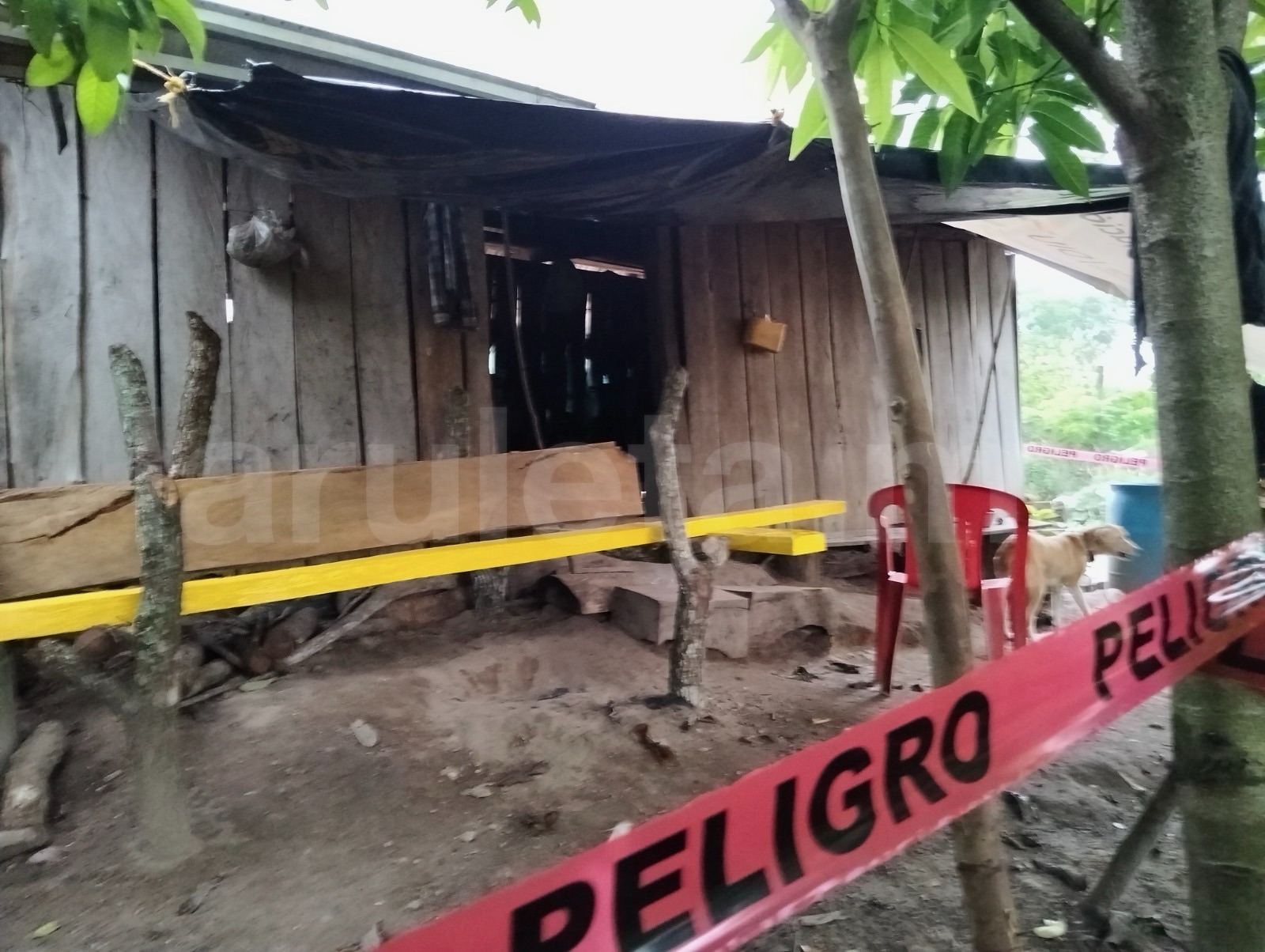 Hallan sin vida a hombre en Hueytamalco; sus perros ya habían comenzado a devorarlo
