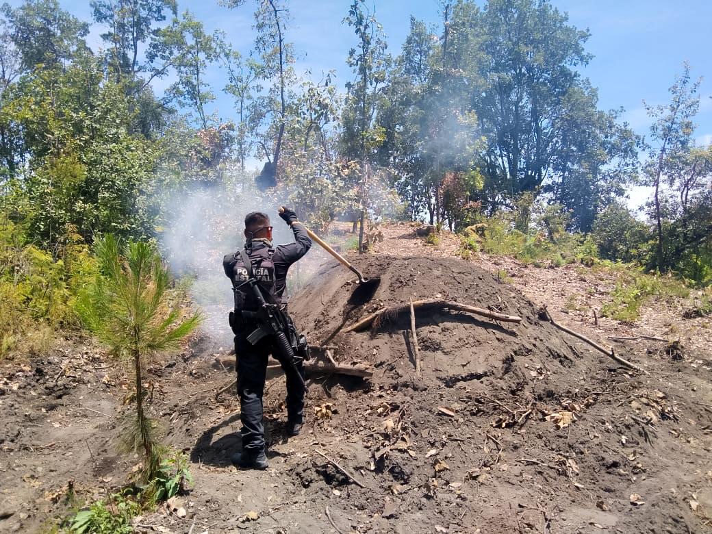 Policía Estatal Forestal neutraliza hornos ilegales en zona boscosa